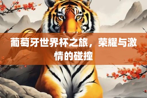 葡萄牙世界杯之旅，荣耀与激情的碰撞