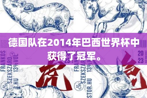 德国队在2014年巴西世界杯中获得了冠军。