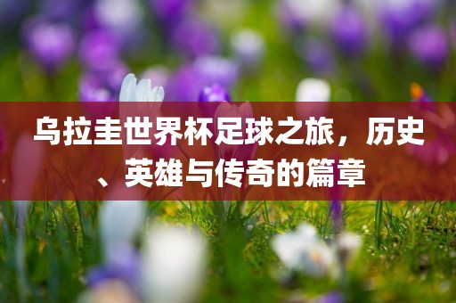 乌拉圭世界杯足球之旅，历史、英雄与传奇的篇章