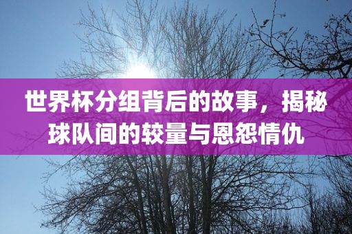 世界杯分组背后的故事，揭秘球队间的较量与恩怨情仇