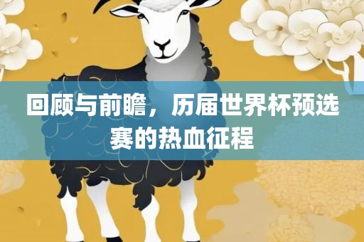 回顾与前瞻，历届世界杯预选赛的热血征程