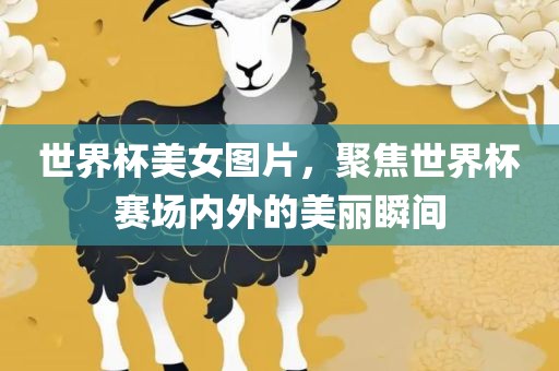 世界杯美女图片，聚焦世界杯赛场内外的美丽瞬间