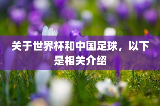 关于世界杯和中国足球，以下是相关介绍