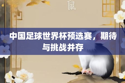 中国足球世界杯预选赛，期待与挑战并存