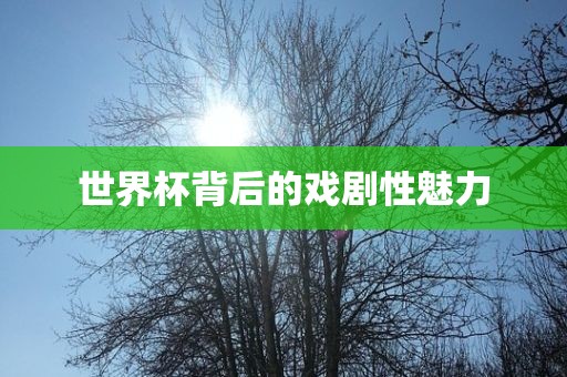 世界杯背后的戏剧性魅力