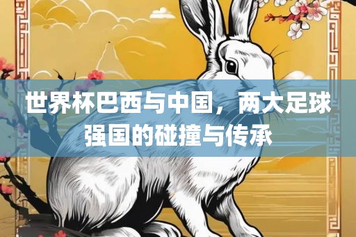 世界杯巴西与中国，两大足球强国的碰撞与传承