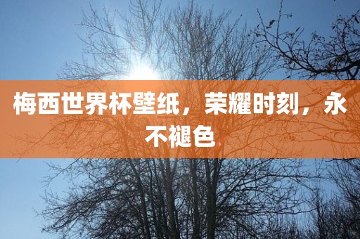 梅西世界杯壁纸，荣耀时刻，永不褪色