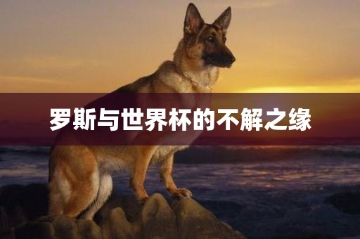 罗斯与世界杯的不解之缘