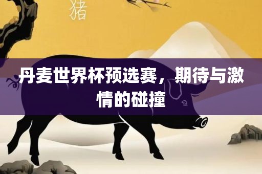 丹麦世界杯预选赛，期待与激情的碰撞