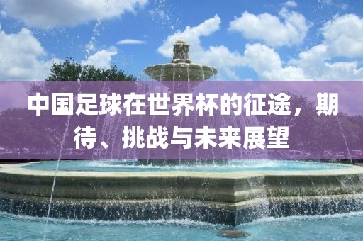 中国足球在世界杯的征途，期待、挑战与未来展望