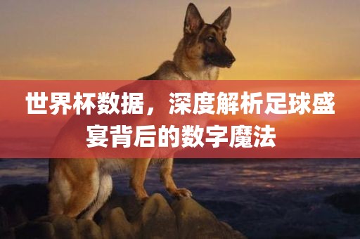 世界杯数据，深度解析足球盛宴背后的数字魔法
