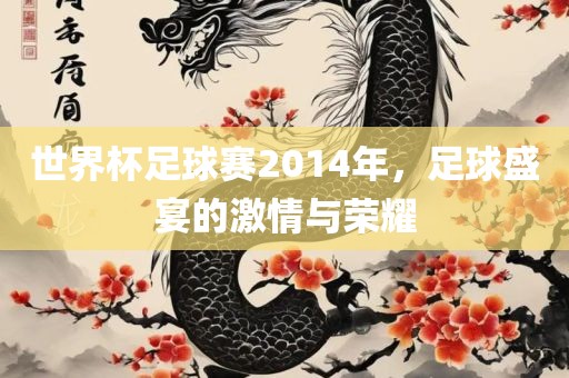 世界杯足球赛2014年，足球盛宴的激情与荣耀