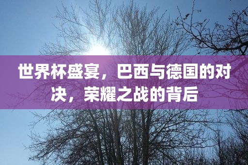 世界杯盛宴，巴西与德国的对决，荣耀之战的背后