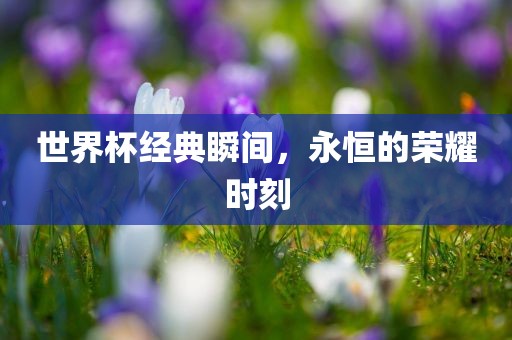 世界杯经典瞬间，永恒的荣耀时刻