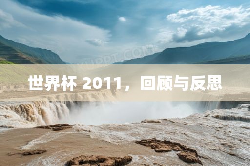 世界杯 2011，回顾与反思