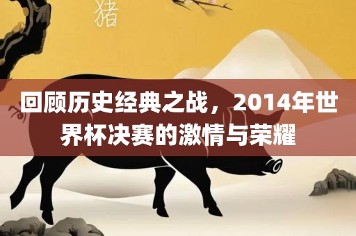 回顾历史经典之战，2014年世界杯决赛的激情与荣耀
