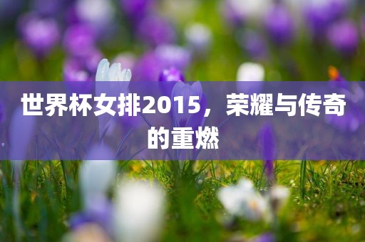 世界杯女排2015，荣耀与传奇的重燃