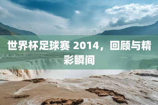 世界杯足球赛 2014，回顾与精彩瞬间