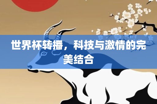 世界杯转播，科技与激情的完美结合