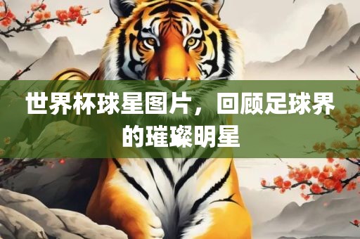 世界杯球星图片，回顾足球界的璀璨明星