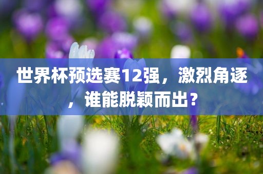世界杯预选赛12强，激烈角逐，谁能脱颖而出？