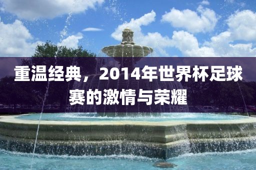 重温经典，2014年世界杯足球赛的激情与荣耀