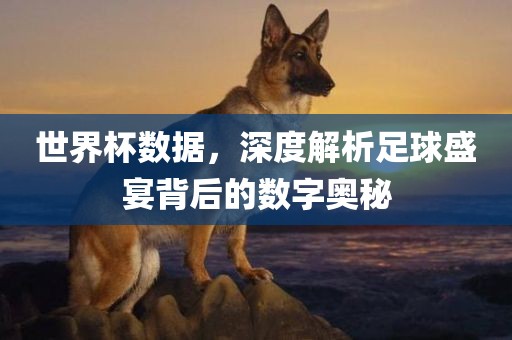 世界杯数据，深度解析足球盛宴背后的数字奥秘