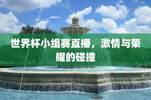 世界杯小组赛直播，激情与荣耀的碰撞