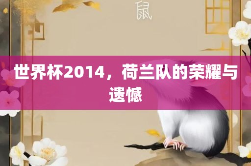 世界杯2014，荷兰队的荣耀与遗憾