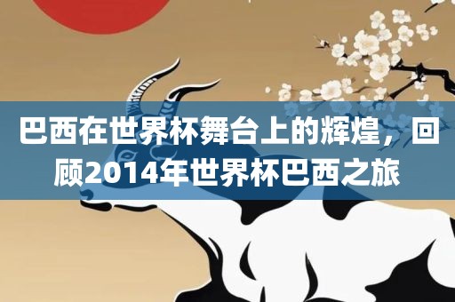 巴西在世界杯舞台上的辉煌，回顾2014年世界杯巴西之旅