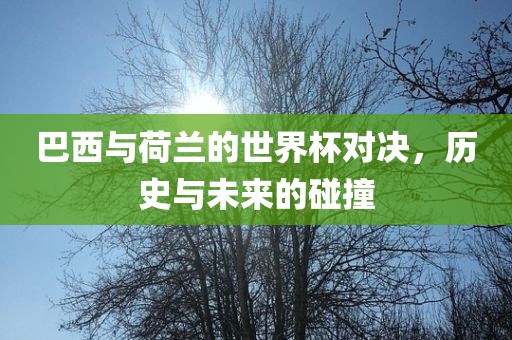 巴西与荷兰的世界杯对决，历史与未来的碰撞