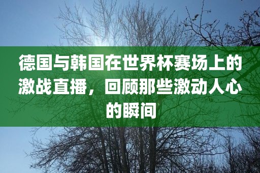 德国与韩国在世界杯赛场上的激战直播，回顾那些激动人心的瞬间