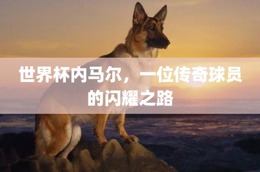 世界杯内马尔，一位传奇球员的闪耀之路