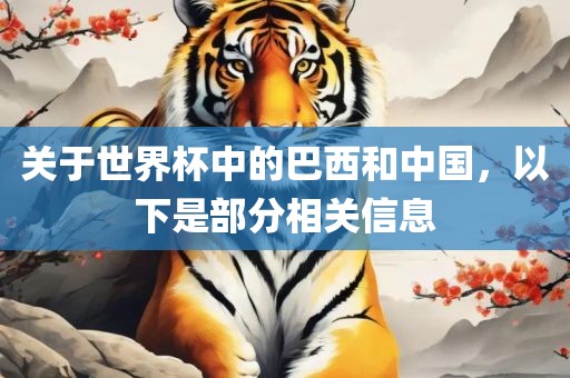 关于世界杯中的巴西和中国，以下是部分相关信息