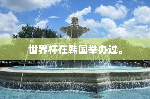 世界杯在韩国举办过。