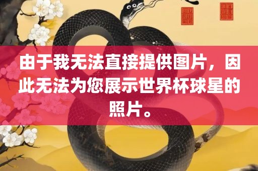 由于我无法直接提供图片，因此无法为您展示世界杯球星的照片。