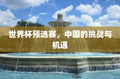 世界杯预选赛，中国的挑战与机遇
