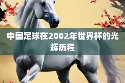 中国足球在2002年世界杯的光辉历程