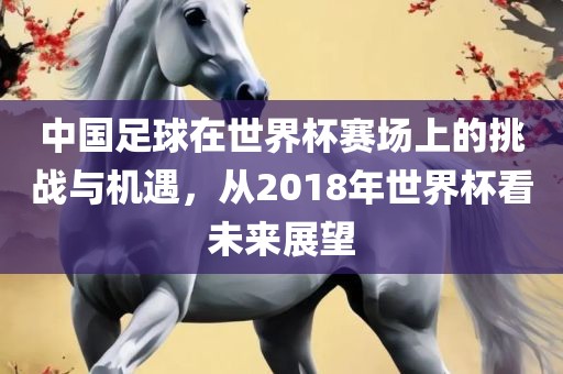 中国足球在世界杯赛场上的挑战与机遇，从2018年世界杯看未来展望