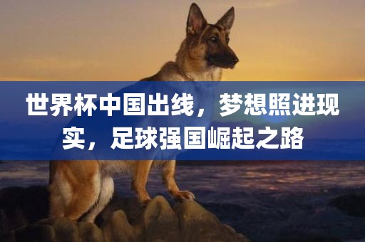 世界杯中国出线，梦想照进现实，足球强国崛起之路