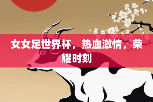 女女足世界杯，热血激情，荣耀时刻