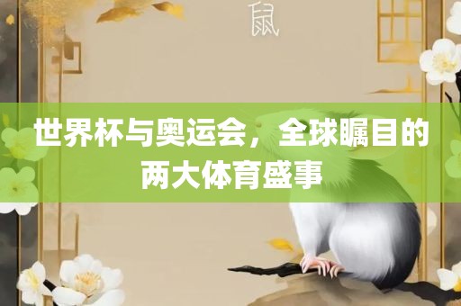 世界杯与奥运会，全球瞩目的两大体育盛事