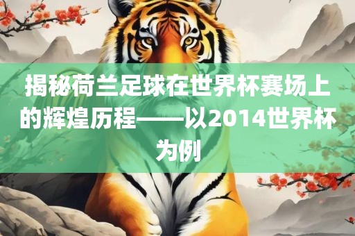 揭秘荷兰足球在世界杯赛场上的辉煌历程——以2014世界杯为例