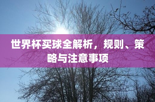世界杯买球全解析，规则、策略与注意事项