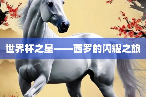 世界杯之星——西罗的闪耀之旅