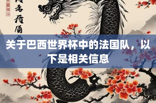 关于巴西世界杯中的法国队，以下是相关信息