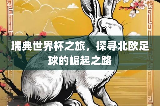 瑞典世界杯之旅，探寻北欧足球的崛起之路