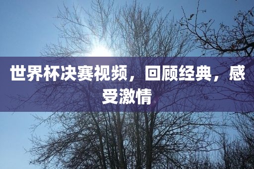 世界杯决赛视频，回顾经典，感受激情