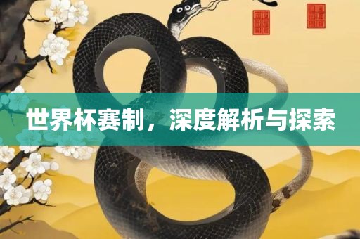 世界杯赛制，深度解析与探索