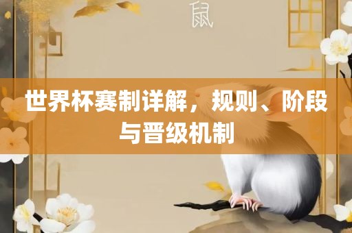 世界杯赛制详解，规则、阶段与晋级机制